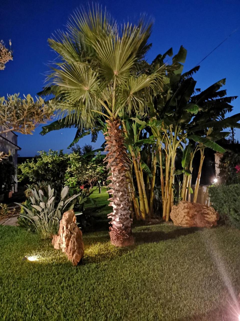 Villa Araucaria Partinico Exterior photo